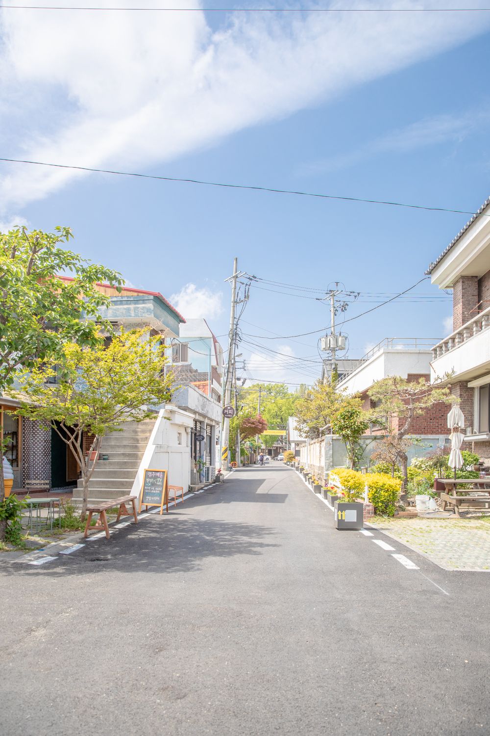 20230423 강릉 Low-15.jpg