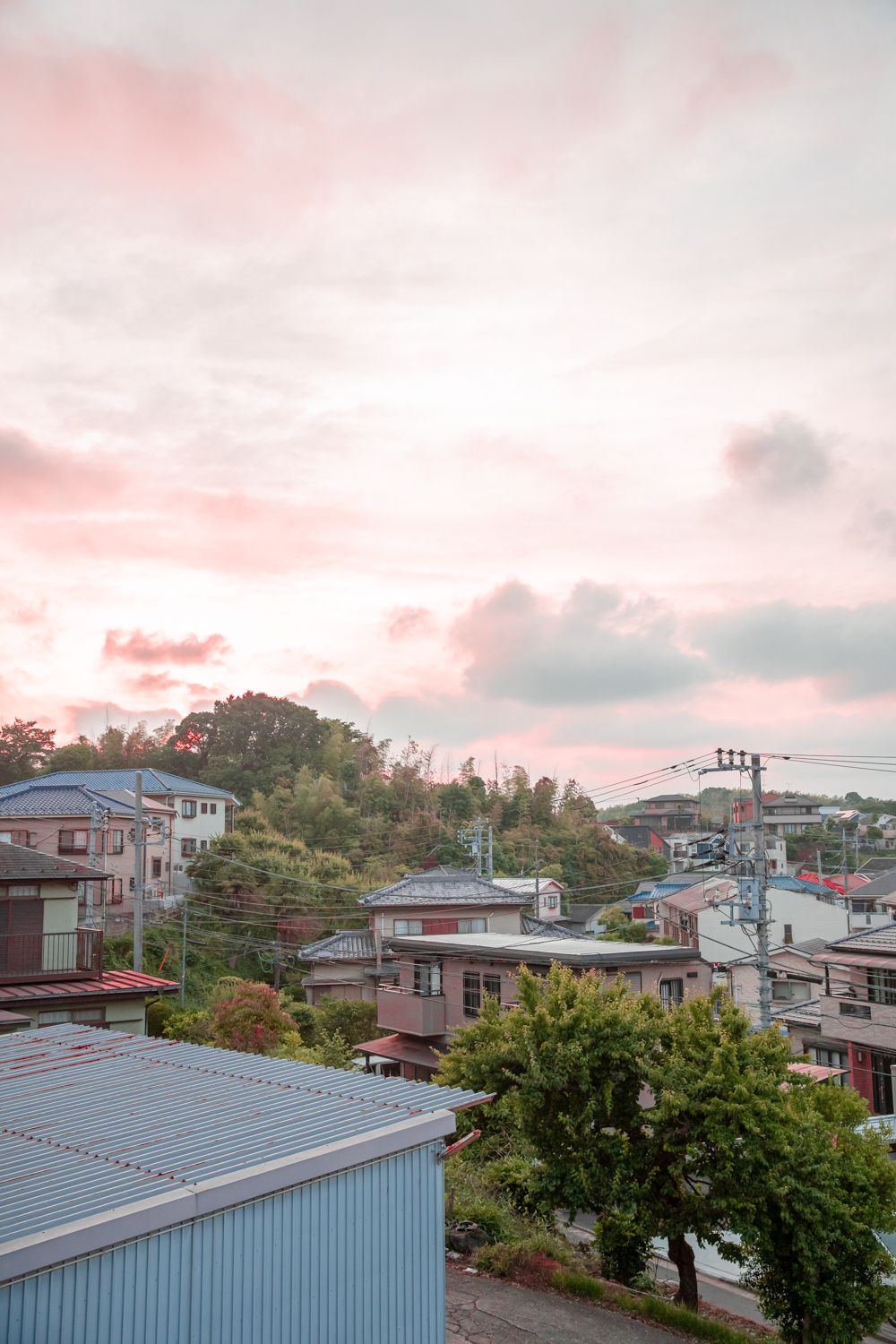 20230521 도쿄여행 Low-41.jpg