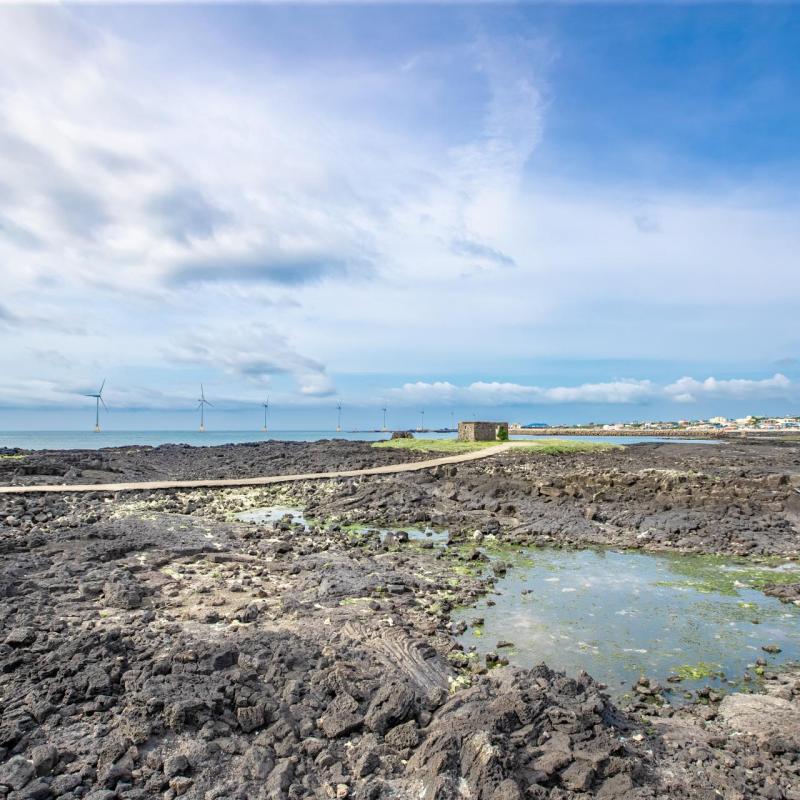 신창풍차해안도로.